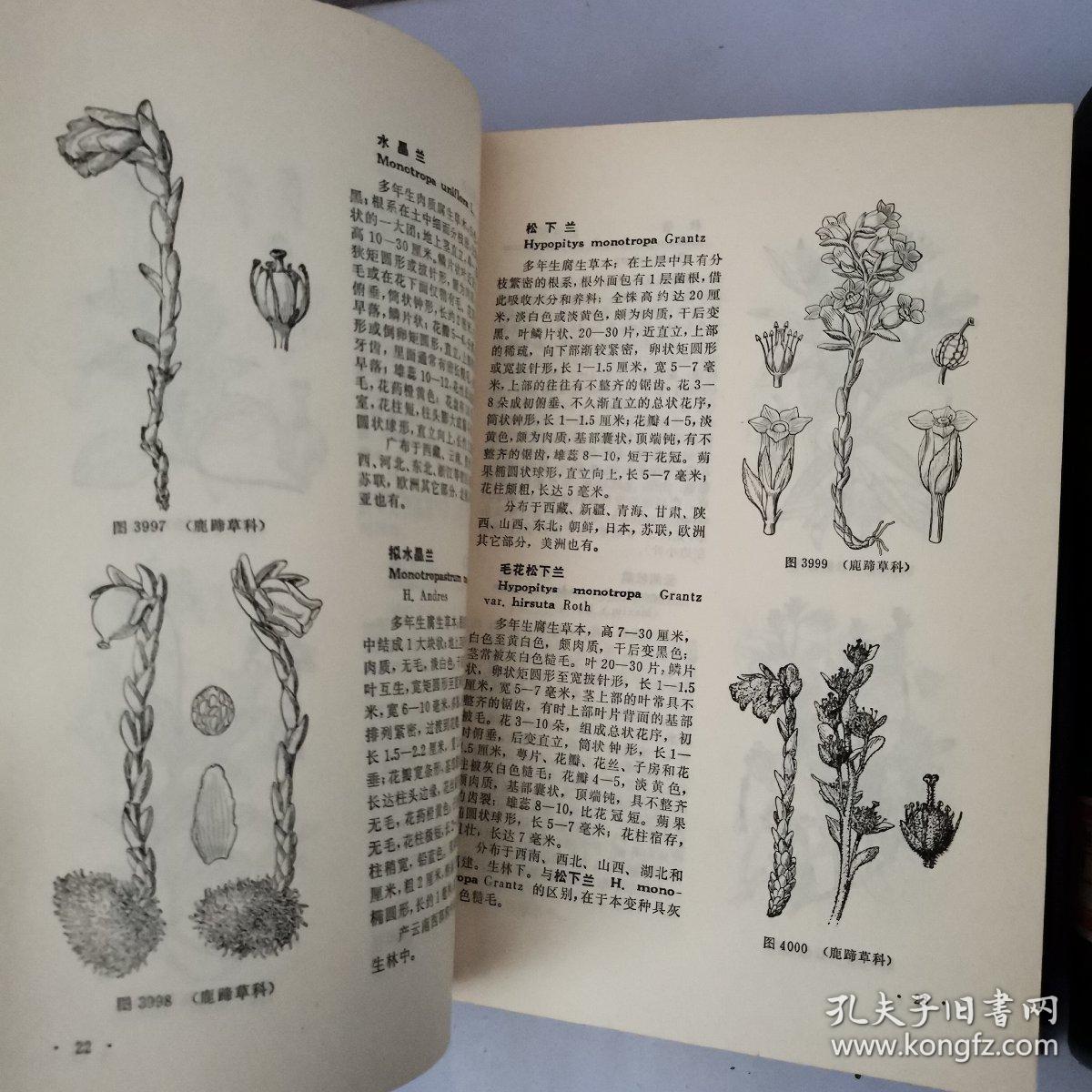 中国高等植物图鉴第三册，第四册【2本合售】