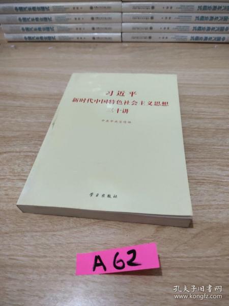 习近平新时代中国特色社会主义思想三十讲（2018版）