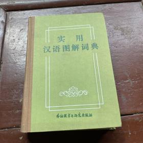 实用汉语图解词典