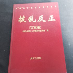 拨乱反正.山东卷