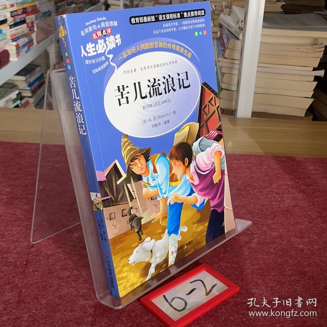 苦儿流浪记 美绘插图版