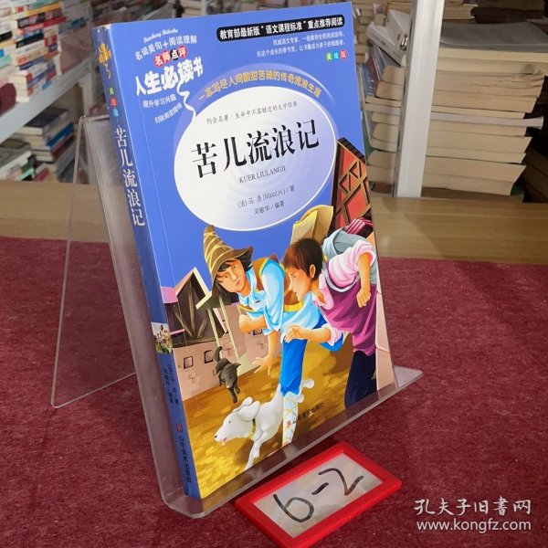 苦儿流浪记 美绘插图版