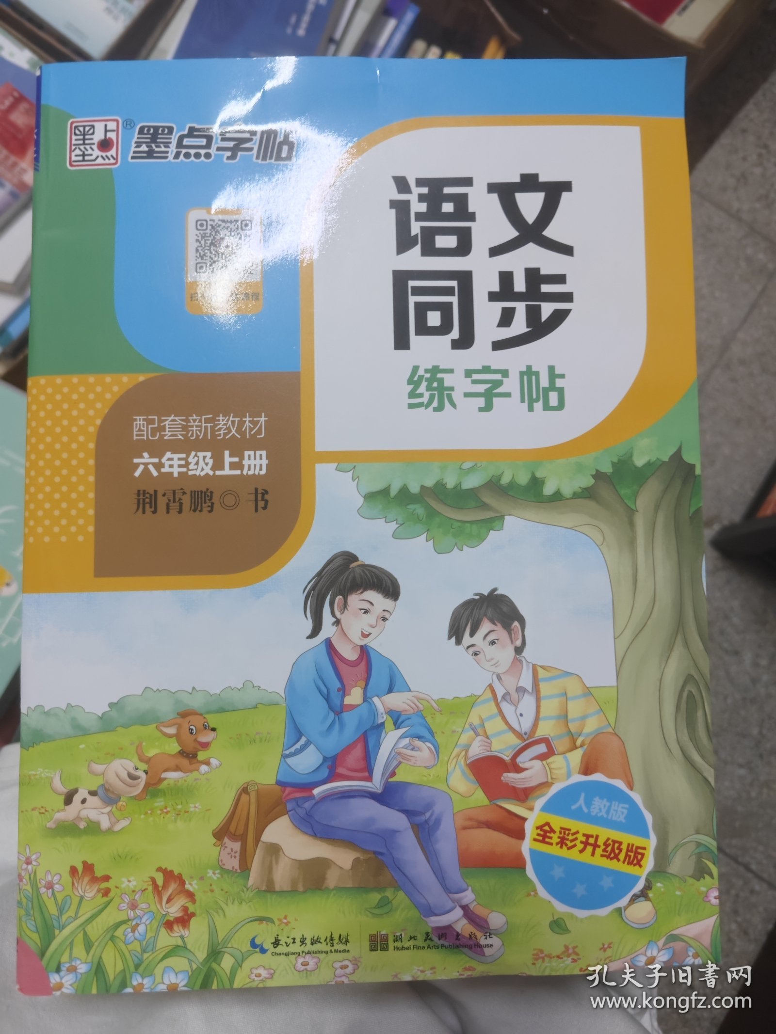 小学生2020年新六年级语文字帖语文书上册人教部编版钢笔字帖楷书铅笔字帖小学生六年级上册部编人教版新版
