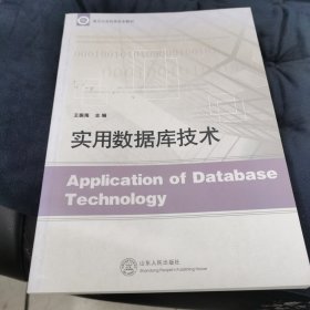 临沂大学优秀校本教材：实用数据库技术