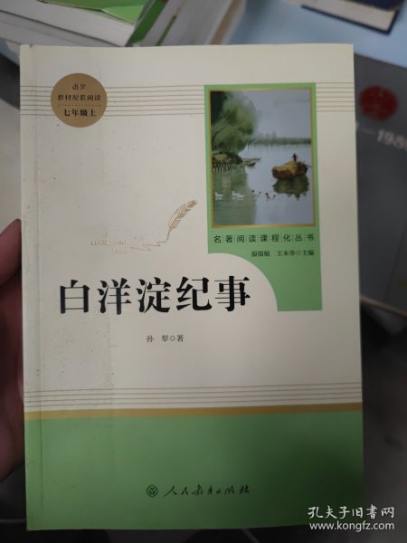 白洋淀纪事 名著阅读课程化丛书（统编语文教材配套阅读）七年级上