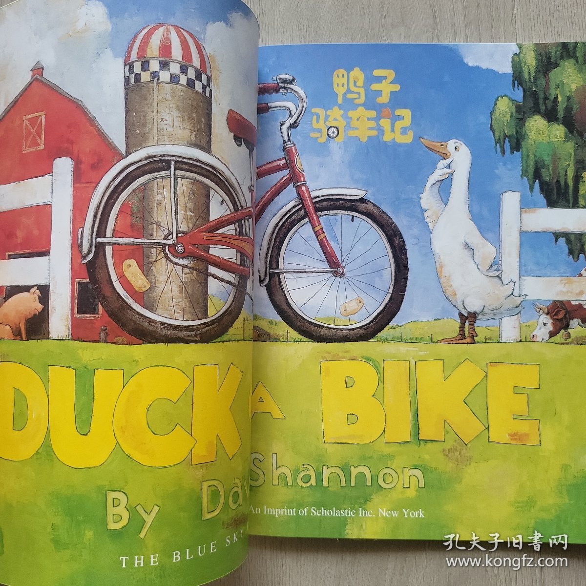 Duck On A Bike