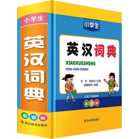 小学生英汉词典 彩图版