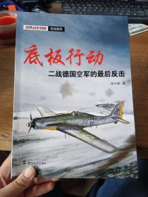 底板行动:二战德国空军的最后反击