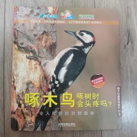 啄木鸟啄树时会头疼吗？：令人吃惊的动物奥秘