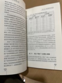 新中国城镇化发展70年（新中国经济发展70年丛书）