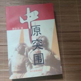 中原突围