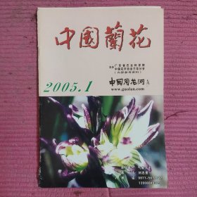 中国兰花2005.1 【476号】