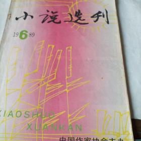 小说选刊(1989.6里面有梁晓声的作品)