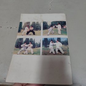 陈式心意混元太极拳教材