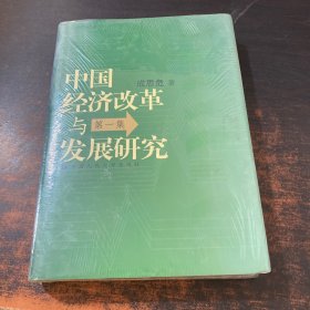 中国经济改革与发展研究（第1集）