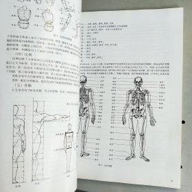 女人体写生素描技法