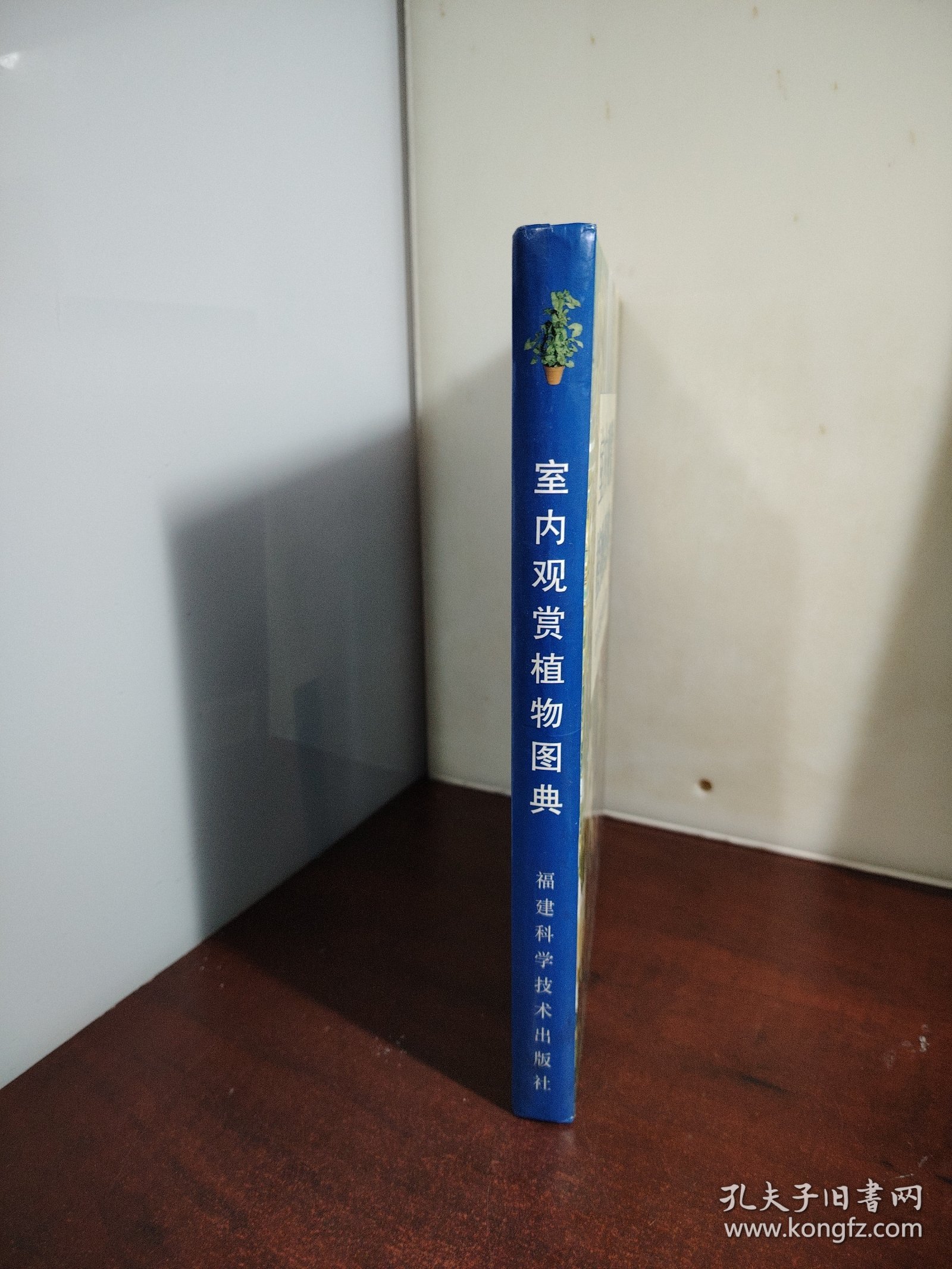 室内观赏植物图典：品种搭配栽培管理
