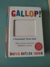 A Scanimation Book: Gallop! 神奇动画书：奔跑 