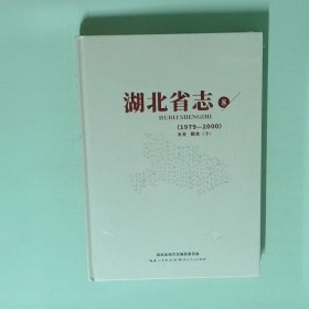 正版书  湖北省志8