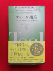 日文书 テイール組織 ネジメントの常識を覆す次世代型組織の出現