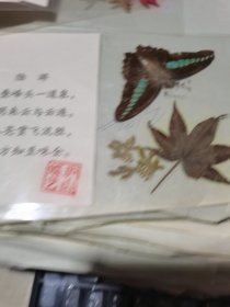 蝴蝶枫叶标本【附陆游诗】