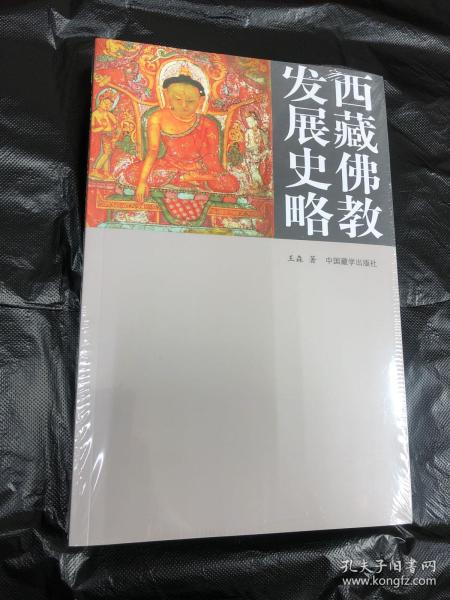 西藏佛教发展史略