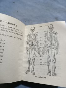 天津医学院人体解剖图一厚本。