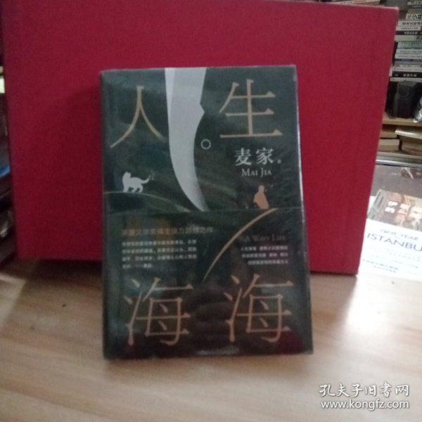 麦家：人生海海（茅盾文学奖得主麦家2019年强力之作）