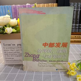中部發(fā)展的現(xiàn)狀、戰(zhàn)略與對(duì)策研究 首屆中部論壇論文集 經(jīng)濟(jì)管理出版社