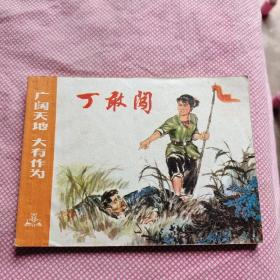 连环画 广阔天地大有作为 丁敢闯