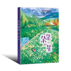 朵朵的星（鲁迅文学奖获得者乔叶首部儿童文学作品） 9787570220175 乔叶著 长江文艺出版社