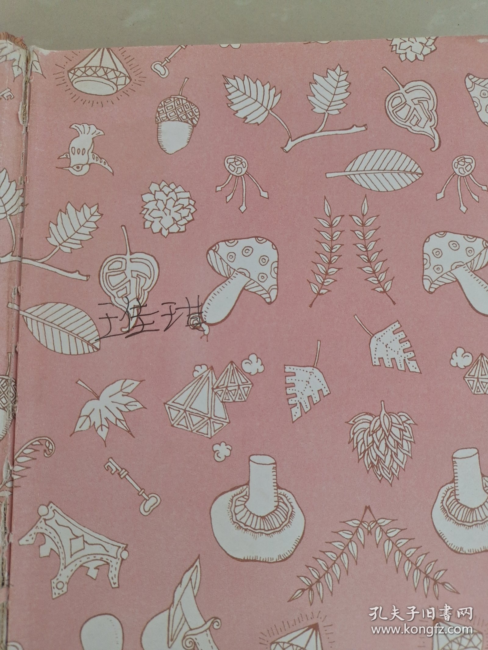 注音版儿童课外阅读丛书 一千零一夜