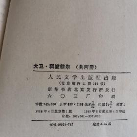 大卫科波菲尔（上下）