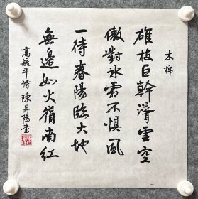 陈升阳老师手写书法小斗方 高毓平诗《木棉》  34.5x34.5cm