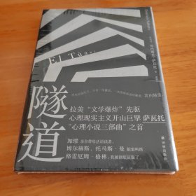 隧道（萨瓦托“心理小说三部曲”开篇之作）