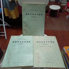 傣族社会历史调查（西双版纳之十）（西双版纳之九）（西双版纳之五）三本合售