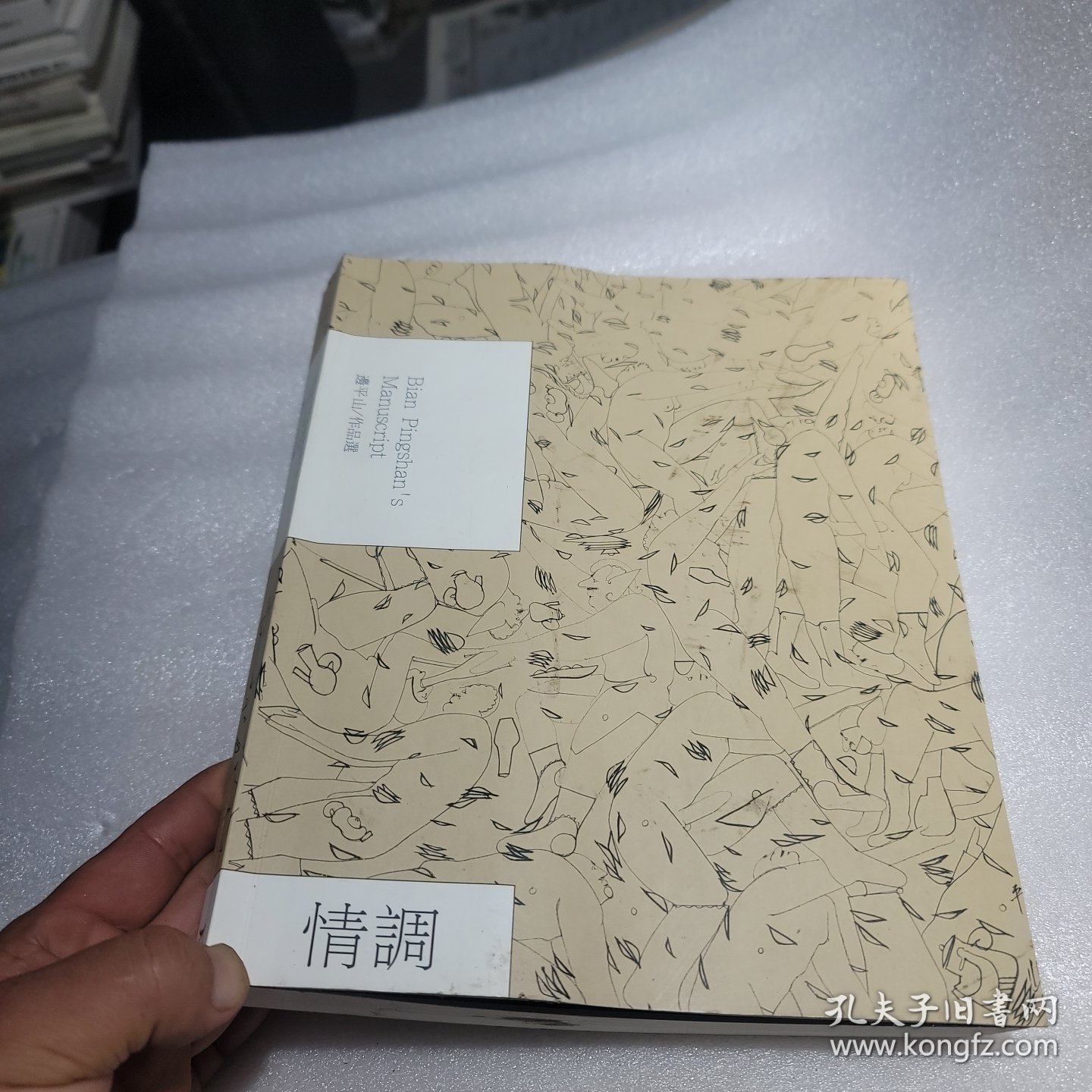 边平山作品选 情调