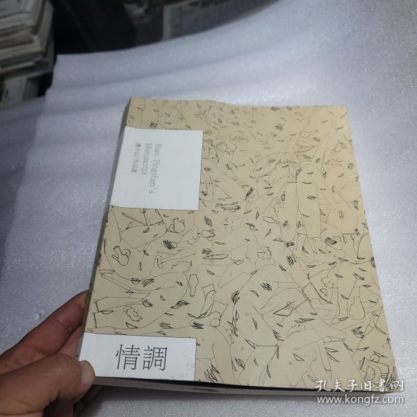 边平山作品选 情调