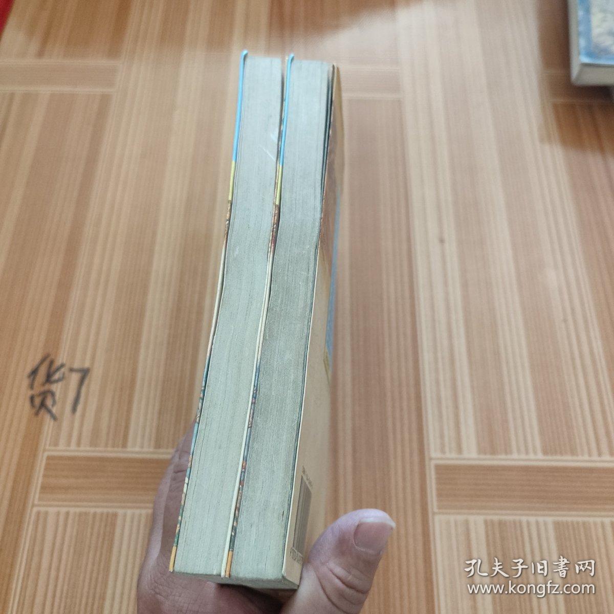 闪电一刀震八方 上下册全 夕照红作品集