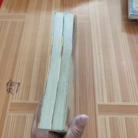 闪电一刀震八方 上下册全 夕照红作品集