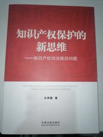 知识产权保护的新思维：知识产权司法前沿问题