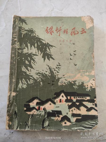 绿竹村风云 王杏元著 1965年一版一印 广东人民出版社出版