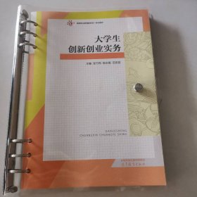大学生创新创业实务