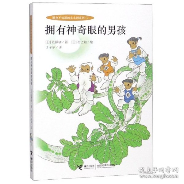 小小国系列:拥有神奇眼的男孩