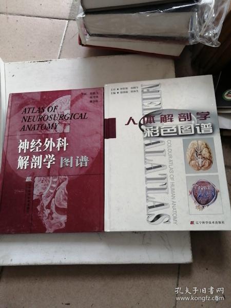 神经外科解剖学图谱，人体解剖学彩色图谱