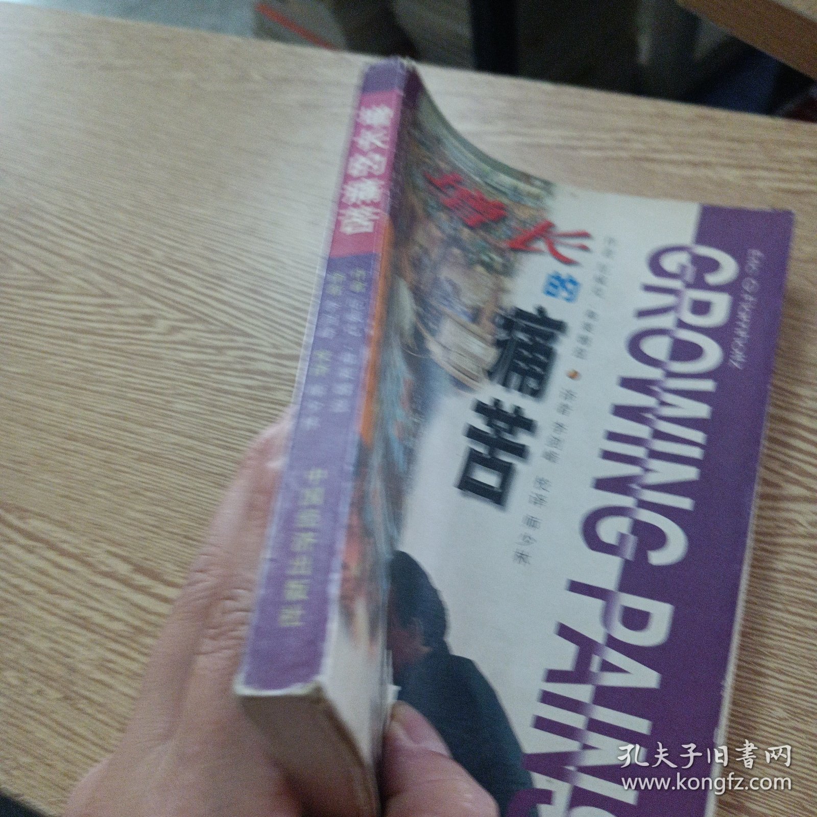 增长的痛苦:通过规范管理战胜企业增长中的危机——bb3