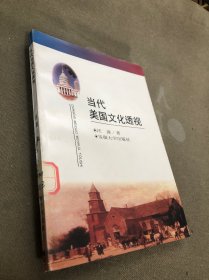 当代美国文化透视