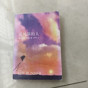 追风筝的人