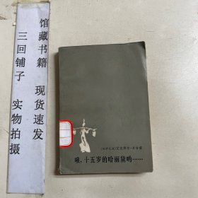 哦，十五岁的哈丽黛哟