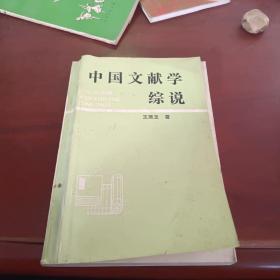 中国文献学综说